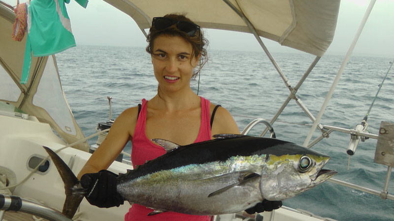 Pesca de atún en Panamá