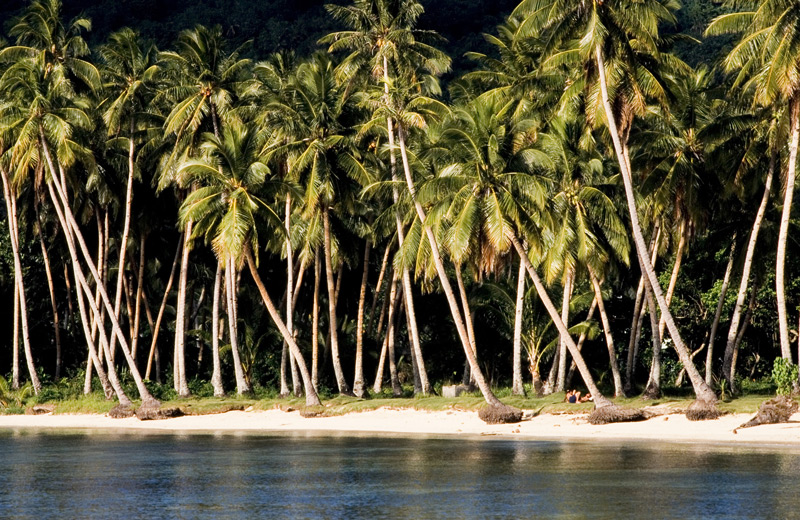 playa paradisiaca en la micronesia